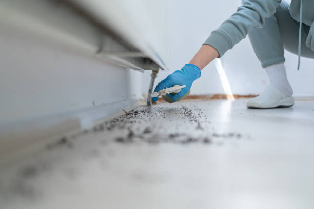 Best Affordable Pest Control Services  in Little River, SC